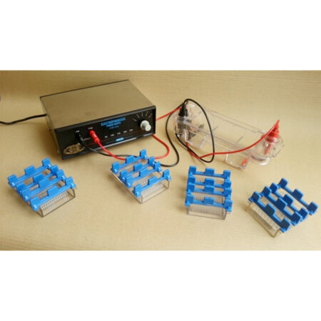Engineering Electronic Instruments Electrophoresis Apparatus